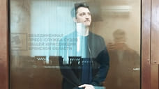 Жителя Краснодара осудили за покушение на госизмену в Брянской области