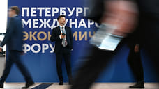 Экспозиция Краснодарского края на ПМЭФ-2025 обошлась в 90 млн рублей