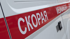 Владелец парка Тайган будет проходить реабилитацию в течение года