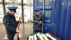 В Новороссийске пресекли незаконный ввоз более 1,3 тысячи винтовок из Турции