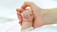 С начала года на Кубани родились более 24 тысяч детей