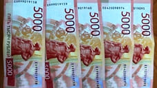 В аэропорту Сочи пассажир попытался вывезти валюту на 1,3 млн рублей