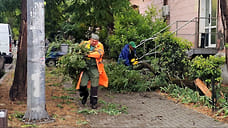 В Севастополе восстановили подачу электричества в дома после ливня