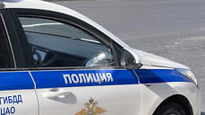 Полиция проверяет сообщения об издевательствах над дикими животными в Мезмае