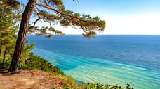 Уровень загрязнения Черного моря признали одним из самых низких за 18 лет