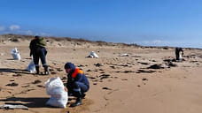 В Анапе и Темрюкском районе нашли фрагменты нефтепродуктов