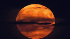 В Новороссийске объявлена угроза атаки БПЛА