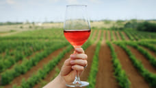 Юрий Бурлачко: необходима поддержка виноградарства и виноделия на Кубани