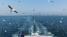 Часть пассажиров парома Seabridge возвращается в Россию через Грузию