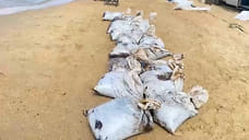 Роспотребнадзор опроверг слухи о «загрязненной мазутом» рыбе