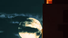 Над Крымом и Черным морем уничтожили 18 украинских БПЛА