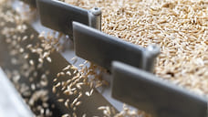 На Кубани утвердили 27 семеноводческих зон на 2026 год