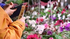 В Крыму количество компаний, торгующих цветами, за год выросло на 11%