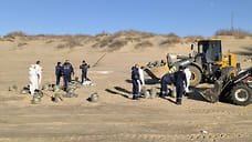 В Анапе очистили 51 участок побережья от загрязнений