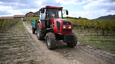 Фермеры Кубани производят 37% продовольственной корзины региона