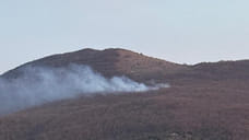 Лесной пожар в Новороссийске локализовали