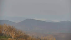 В Абинском районе горит примерно 5 га растительности