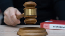 Жителя Каменско-Днепровского района осудили за госизмену