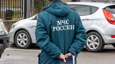 Под Геленджиком потушили крупный лесной пожар