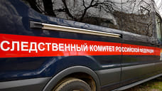 Симферопольца подозревают в убийстве племянника и нападении на его мать и брата