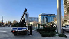 На главной площади Краснодара начали устанавливать 22-метровую новогоднюю елку