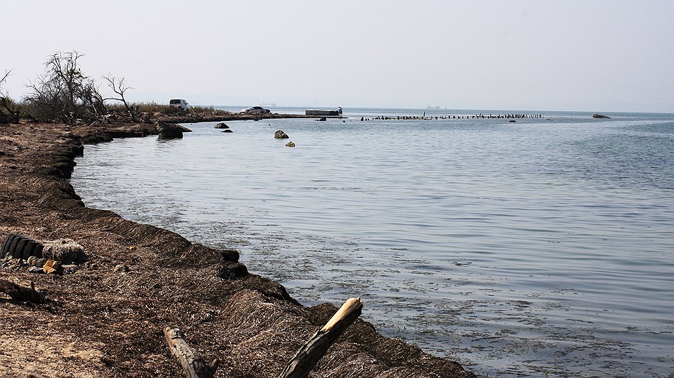 Там, где сейчас в воде виднеются камни, все еще была территория пляжа.