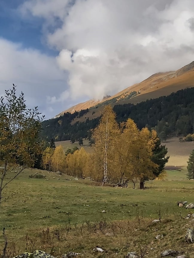 Золотая осень в Архызе