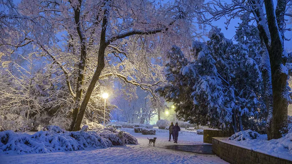 Парк Городской сад. Променад по вечерней заснеженной аллее
