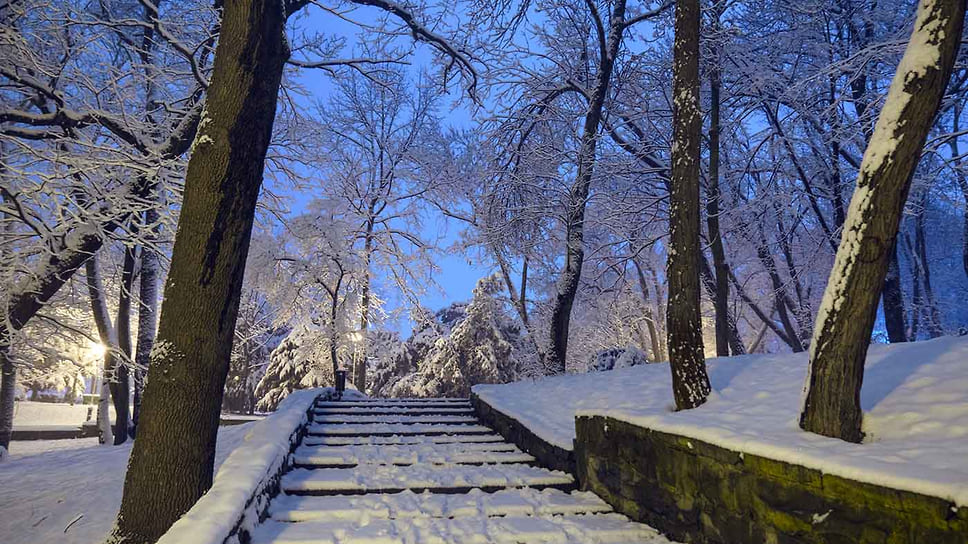 Парк Городской сад. Зимний пейзаж
