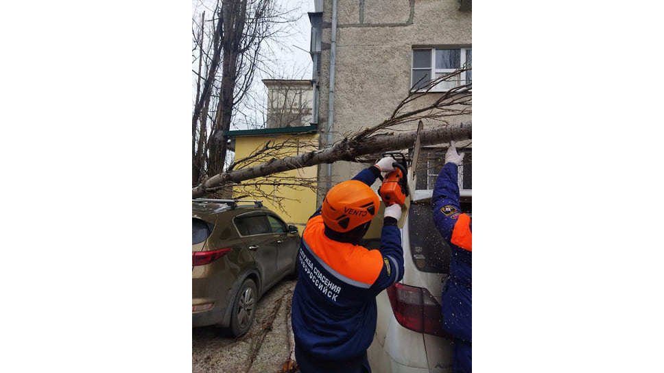 На Анапском шоссе в Новороссийске ветер повали дерево на автомобиль.
