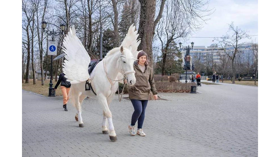 Праздничная ярмарка в Краснодаре
