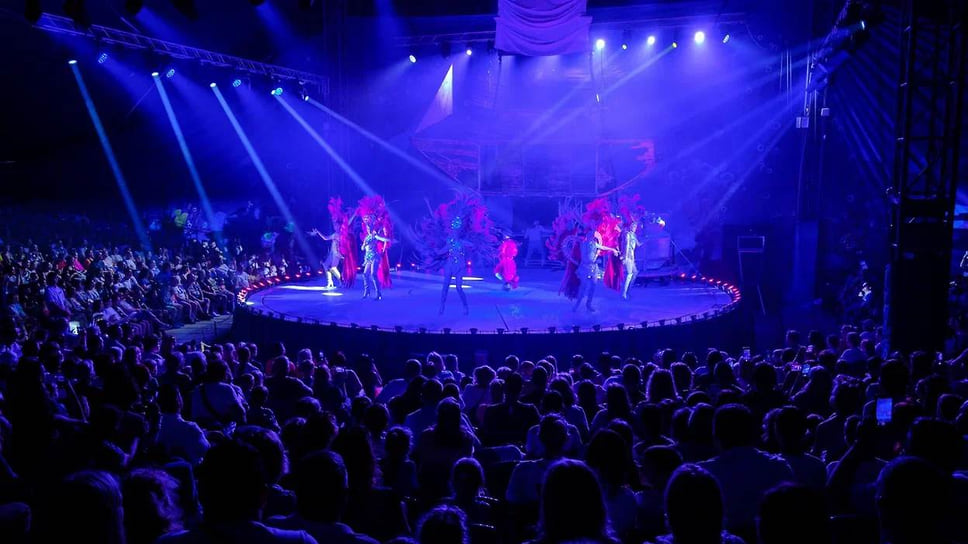 В «Сочи Парке» 1 июня состоялось шоу Московского цирка Никулина на Цветном бульваре «Водная феерия»
