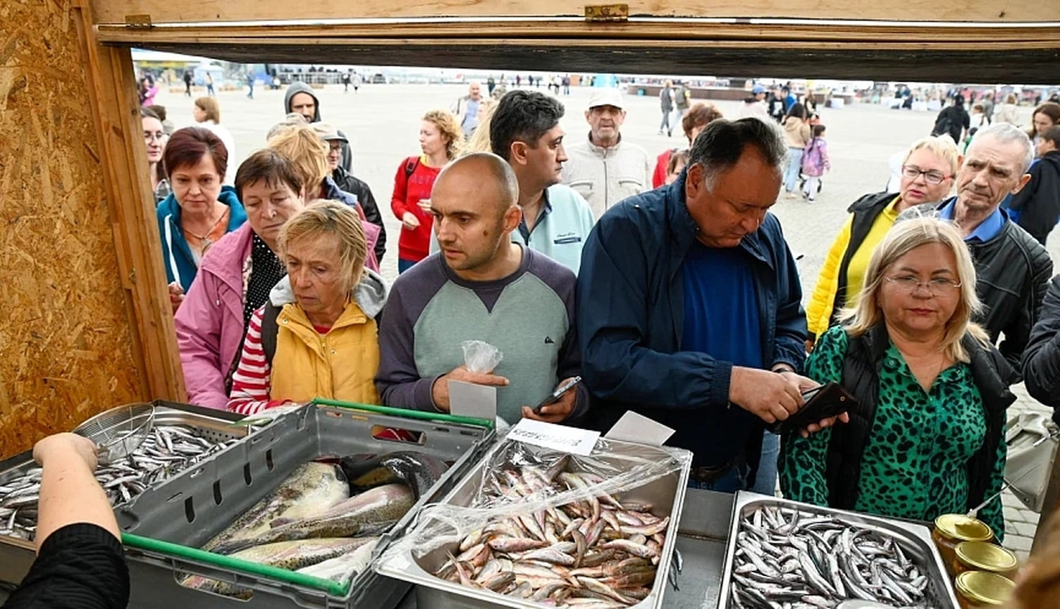 Свежие уловы хамсы и барабули
