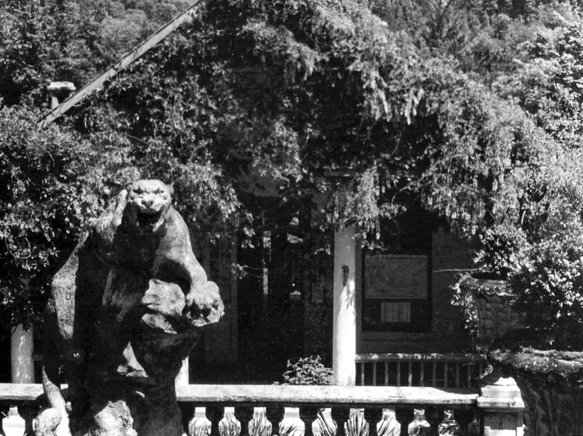 Вход в Музей природы при Тисо-самшитовой роще, 1959 год