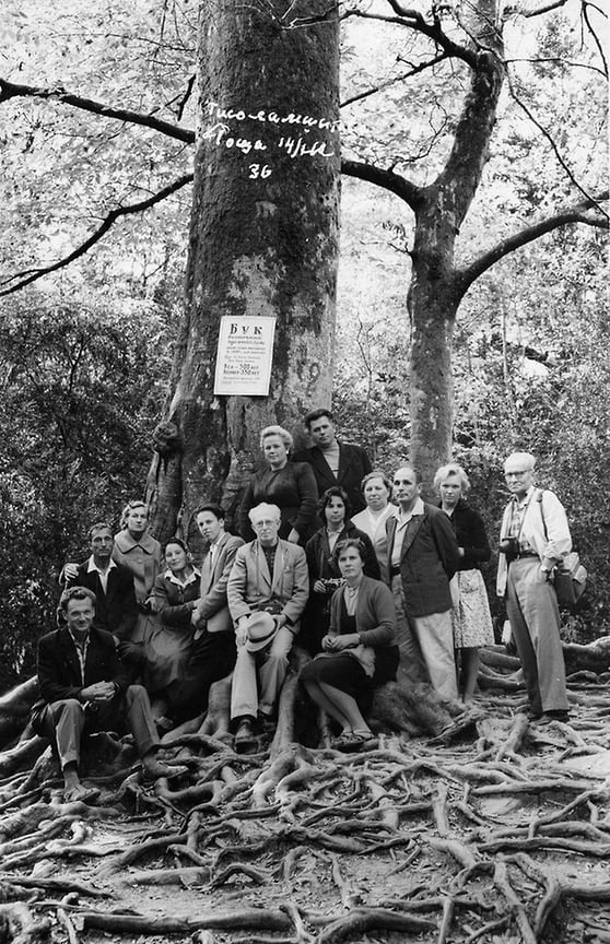 Группа туристов в Тисо-самшитовой роще, 1962 год