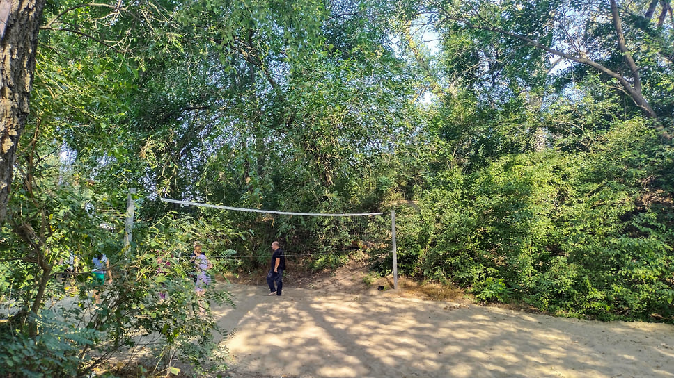 В волейбол под ветками деревьев сыграть невозможно, зато это место облюбовали любители йоги