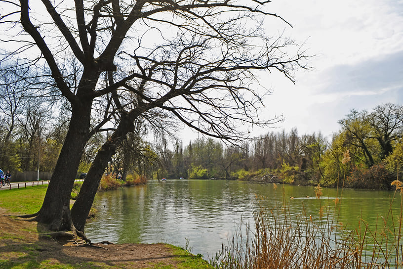 Парк располагается на живописном острове, окруженном водами озера Старая Кубань