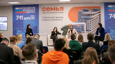 Доходные метры