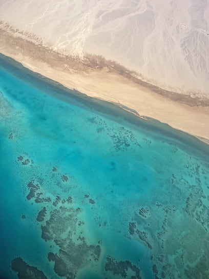 Так выглядят коралловые рифы сверху