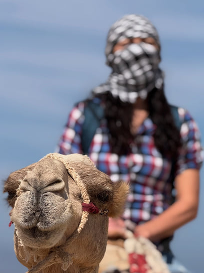 Черно-белый клетчатый платок — это куфия, имеет множество других названий. Вообще это мужской головной убор, являющийся неотъемлемой частью гардероба арабов, курдов и иракских туркменов. Здесь его выдают туристам перед началом экскурсии, что они могли защитить лицо от палящего солнца и песка