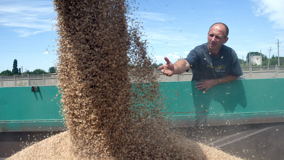 За семь месяцев 2023 года Кубань экспортировала агропродукцию на сумму более $2 млрд