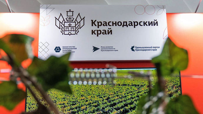 Новые горизонты для стартапов