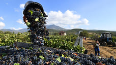 Инвесторы давят виноград