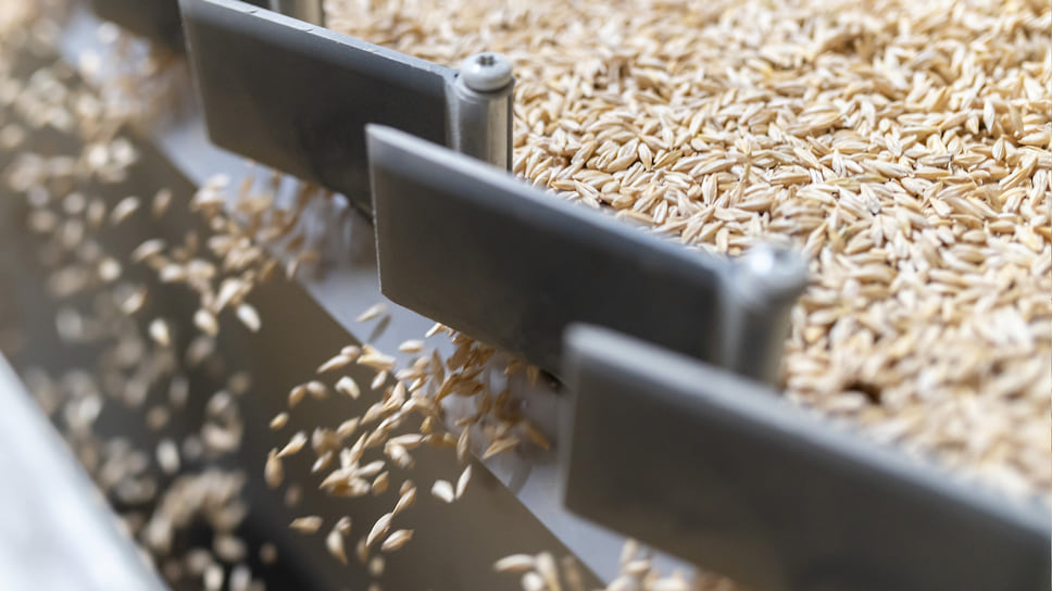 В 2024 году поставки кубанской продукции в Египет увеличились в полтора раза, а в Бангладеш — почти в два