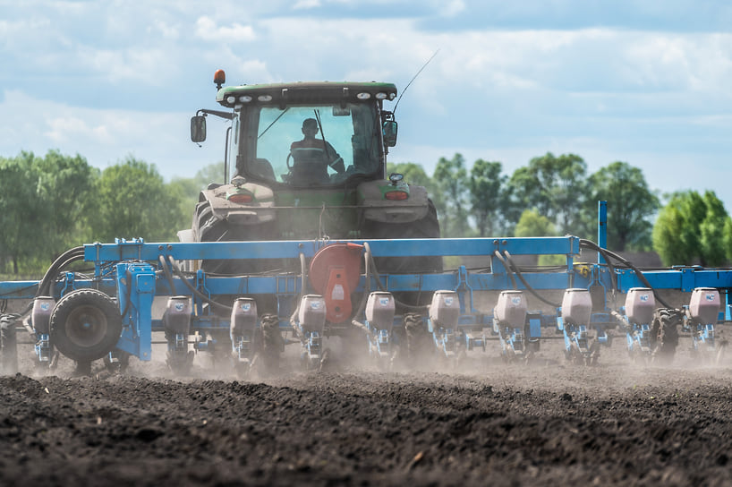 В Крыму в сельском и лесном хозяйстве, охоте, рыболовстве и рыбоводстве занято 17,1 тыс. человек