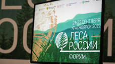 Segezha Group поделилась экспертным мнением о мерах дальнейшего развития отечественного ЛПК