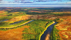 Зеленая стратегия