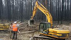 Депутатов заводят в лес