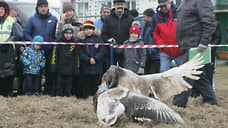 На деревню денежки