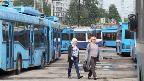 Госдуму ставят на «рога» // Активисты попросили Вячеслава Володина спасти троллейбусы в Нижнем Новгороде